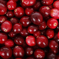 Photo of cranberry 5