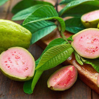 Guava foto