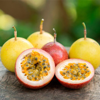 Passion fruit photo 3