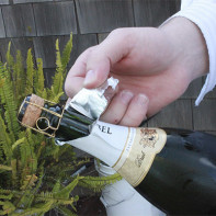 Champagne photo 6