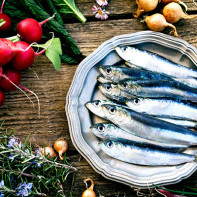 Photo of sardines 2