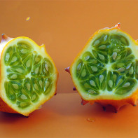 Φωτογραφία Kiwano 3