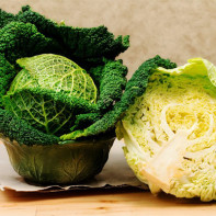 Photo of Savoy cabbage 5