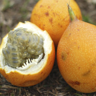 Fotografie de fructe granadilla 4