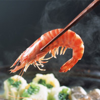 Shrimp photo