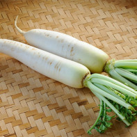 Fotografia Daikon 4