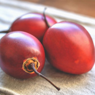 Photo du tamarillo 4