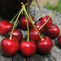 Cherry photo 2