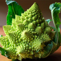 Φωτογραφία του λάχανου Romanesco 4