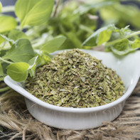 Photo of Marjoram 2