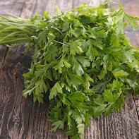 Photo of parsley 2