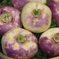 Φωτογραφία του rutabaga 2