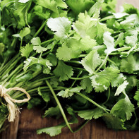 Photo of cilantro 3