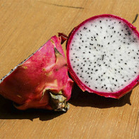 Photo blue dragon fruit 4