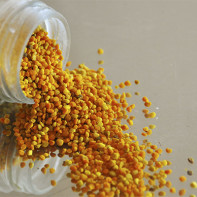 Photo of bee pollen 4