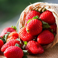 Strawberry photo