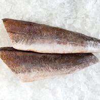 Photo of hake fish 2