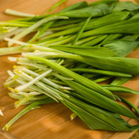 Photo of ramson 3