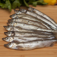 Photo of capelin