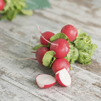 Photo of radish 4