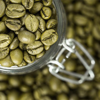 Fotografie de Green Coffee 4