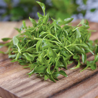 Photo of watercress 5