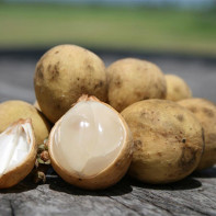 Photo of longan fruit 4