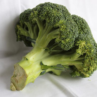 Fotografii de broccoli