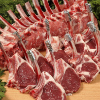 Photo of lamb 4