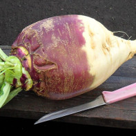 Fotografie de rutabaga