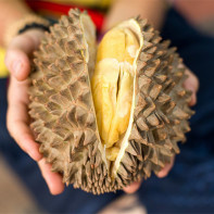 Durian fotografie 5