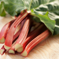 Rhubarb photo