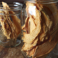 Photo of Dry Melon 4