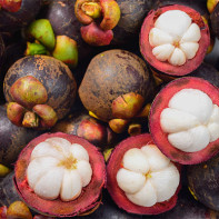 Mangosteen Photo