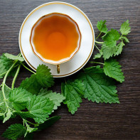 Nettle tea photo 2