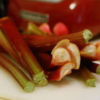 Photo of Rhubarb 2