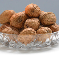 Walnut photo 4