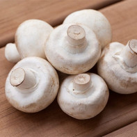 Photo of champignons 5