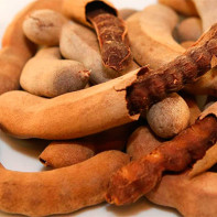 Photo of the tamarind fruit 4