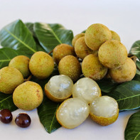 Fotografie de fruct Longan 2