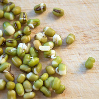 Photo of mung bean 4