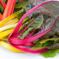 Photo of Swiss chard 5