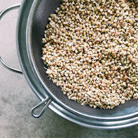 Photo of Sprouted Buckwheat