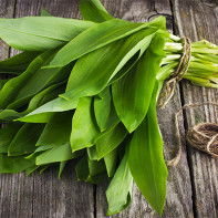 Photo of ramson 2