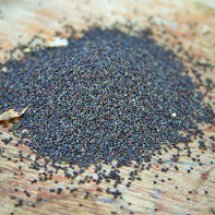 Poppy Seeds Photo 2