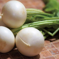 Photo of White Radish 3