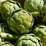 Artichoke photo 3