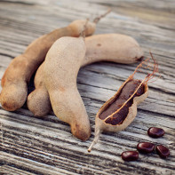 Photo of the tamarind fruit 2