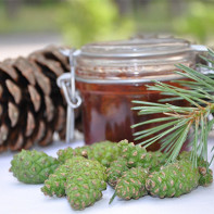 Photo de la confiture de pommes de pin 4