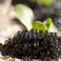 Fotografie de caviar negru